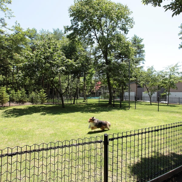 天然芝ドッグラン完備