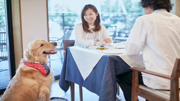レストランも同伴OK