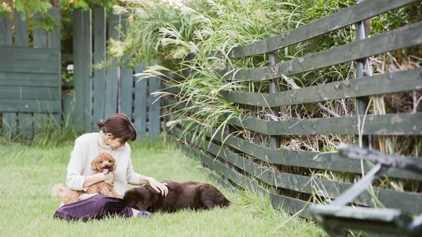 室内ドッグラン｜雨の日でも安心