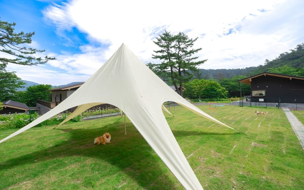 ドッグラン｜自然の中で自由に