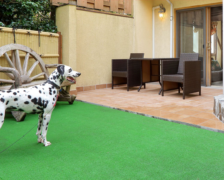 庭で愛犬と遊べる